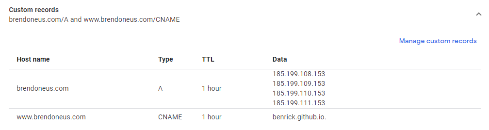 Google Domains Custom Records View