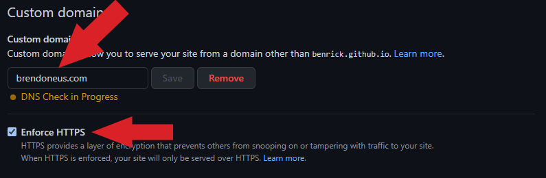 GitHub Pages Settings Custom Domain